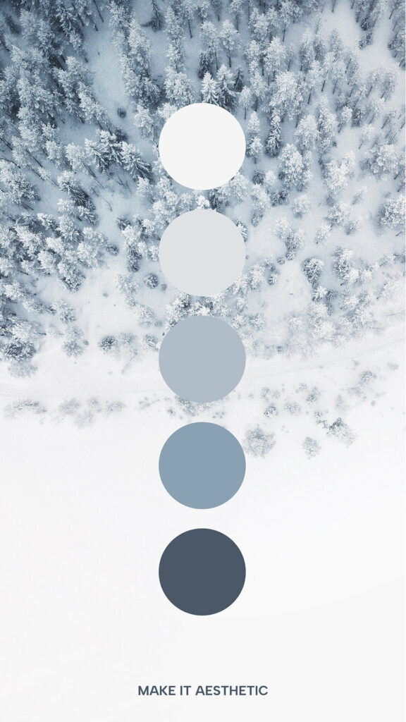 Snowy forest aerial view, greyscale color palette