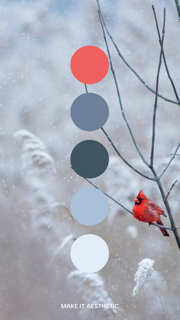 Detail of a red bird on a low branch while snowing. Aesthetic Winter Christmas Color Palette, reddish and blue tones