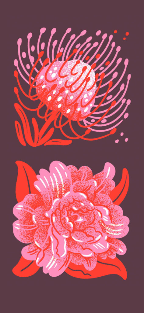 An illustration of two vibrant red and pink flowers with intricate details, set against a dark purple background