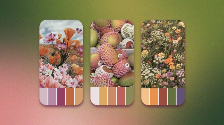 Three vertical images showcasing different assortments of flowers and fruits, each accompanied by a color palette extracted from the respective image.