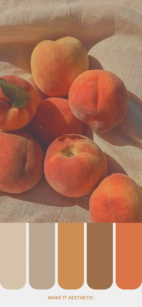 A collection of peaches on a textured fabric surface, illuminated by soft natural light, accompanied by a color palette derived from the image’s warm tones.