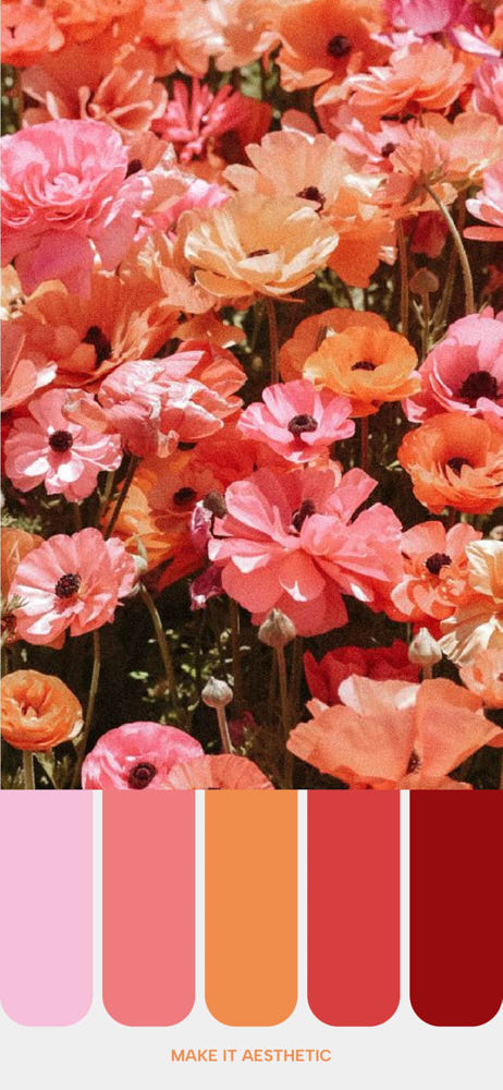 A vibrant image showcasing a lush field of blooming flowers in various shades of pink, orange, and red, with a color palette extracted at the bottom displaying five distinct colors from the flowers. 
Best Spring Color Palettes for 2024