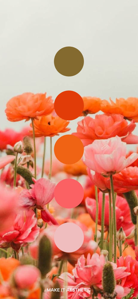 Best Spring Color Palettes for 2024