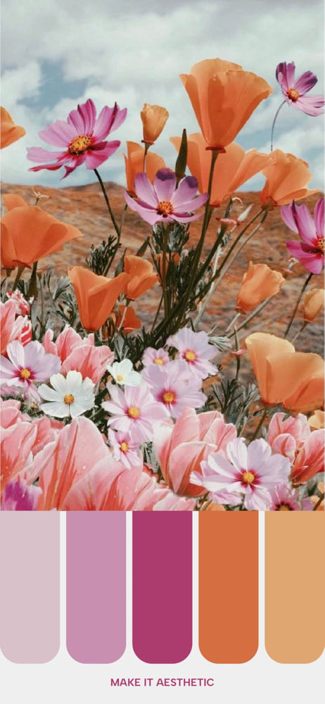 A vibrant image showcasing a lush field of blooming flowers in various shades of pink, orange, and red, with a color palette extracted at the bottom displaying five distinct colors from the flowers. 
Best Spring Color Palettes for 2024