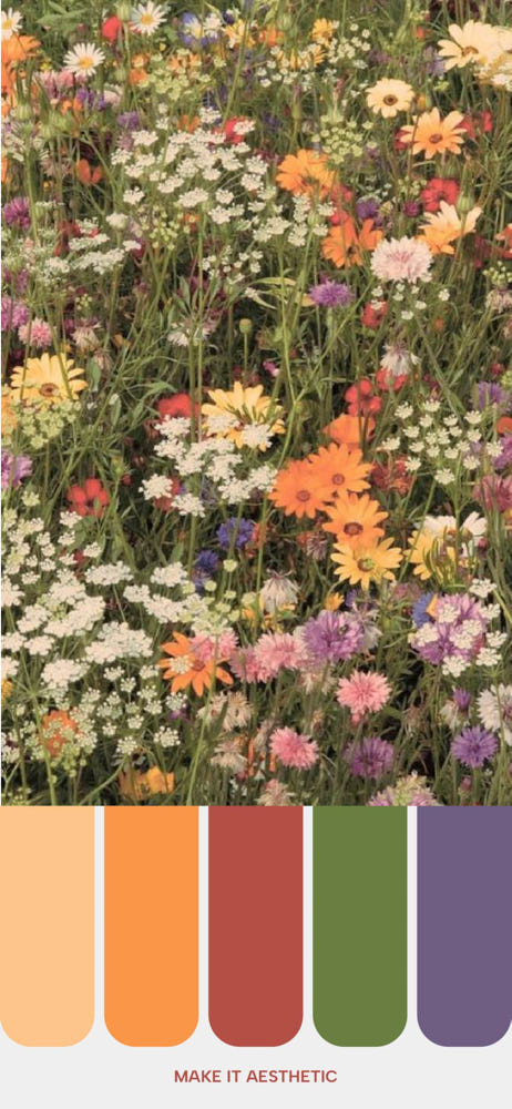 A vibrant field of mixed flowers in full bloom with a color palette below showing five colors drawn from the flowers.Best Spring Color Palettes for 2024