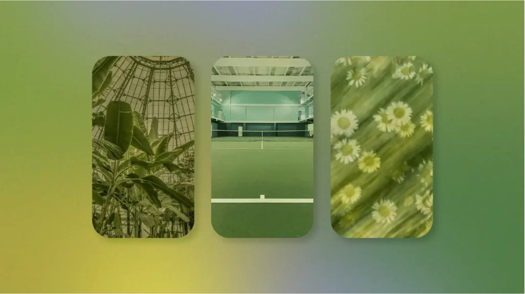 The image features three vertically oriented rectangular wallpapers set against a gradient background that transitions from yellow to green. From left to right: the first panel shows a black and white photo of plants under a geometric dome structure, the second panel depicts an indoor tennis court, and the third panel is a blurred photo of daisies in a field, giving it an abstract quality.