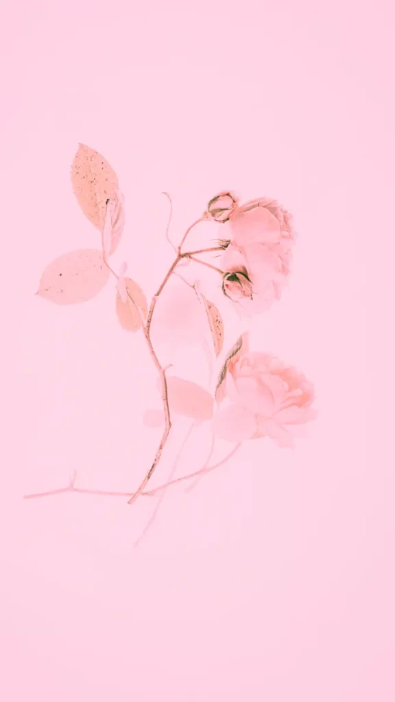 Pink wallpaper